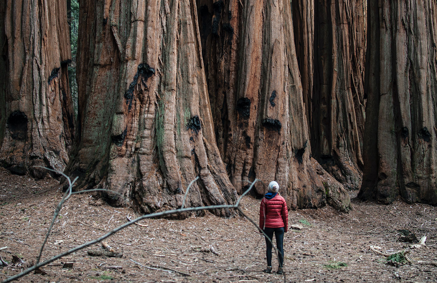 Woman in forest